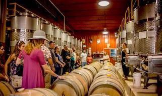 Kiepersol Winery tour