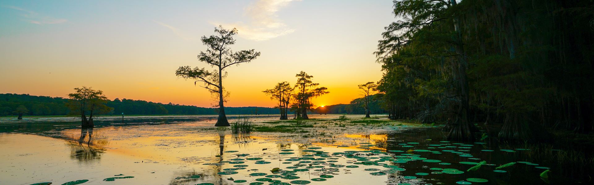 Caddo Lake at dusk
