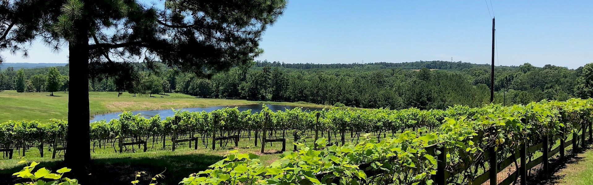 Enoch's Stomp Winery 